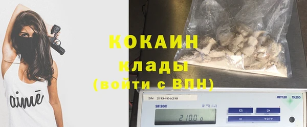 гашик Дмитриев