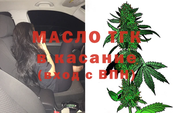 гашик Дмитриев