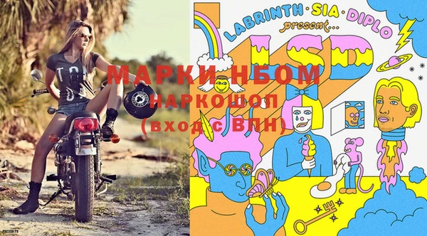 гашик Дмитриев