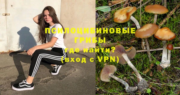 гашик Дмитриев