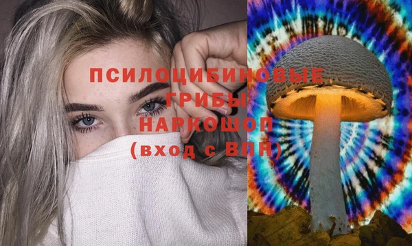 гашиш Дмитров