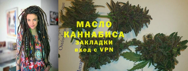 гашик Дмитриев