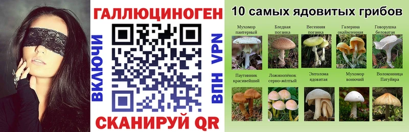 Галлюциногенные грибы Cubensis  Купить  Кохма 